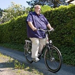 e bike für übergewichtige